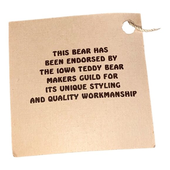 Teddy Bear Handmade Mohair Jointed Collectable Gae Sharp Stuffed Animal Toy Iowa - Picture 8 of 10